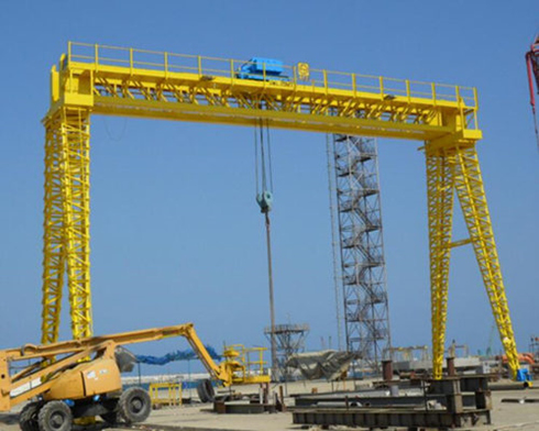 professional gantry crane for sale